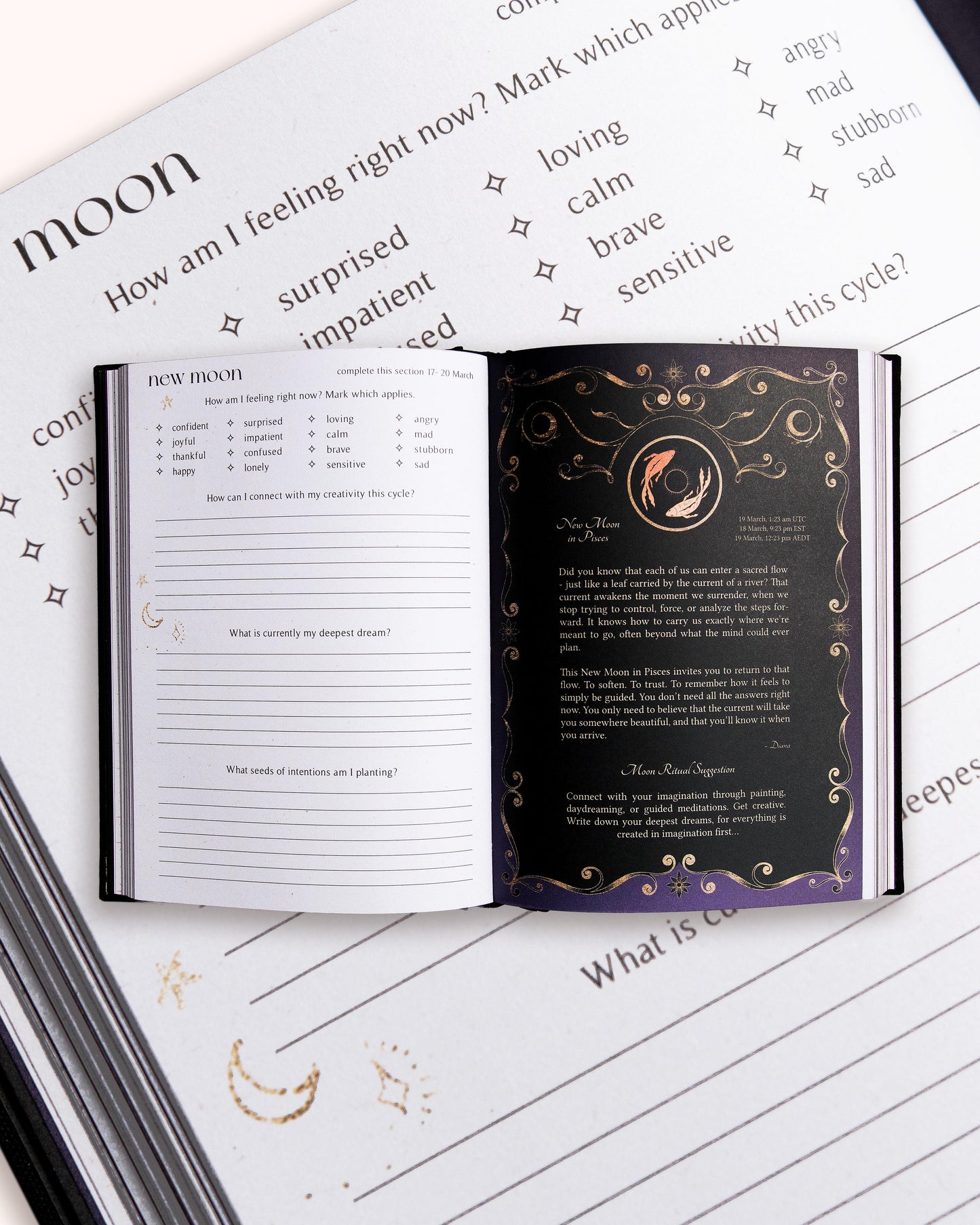 dreamymoons: 2026 year of growth journal