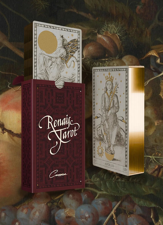 cocorrina: renais tarot deck + hard cover guidebook